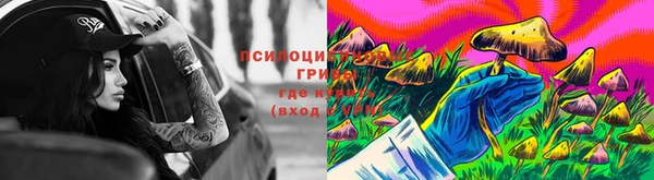 ALPHA PVP Нязепетровск