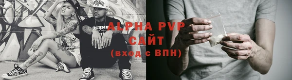 прущие грибы Богородск