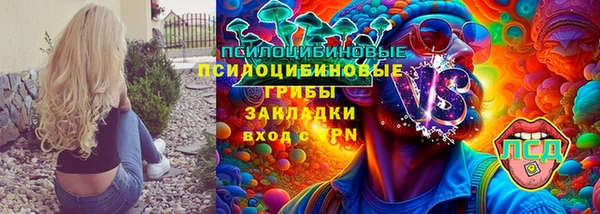 прущие грибы Богородск