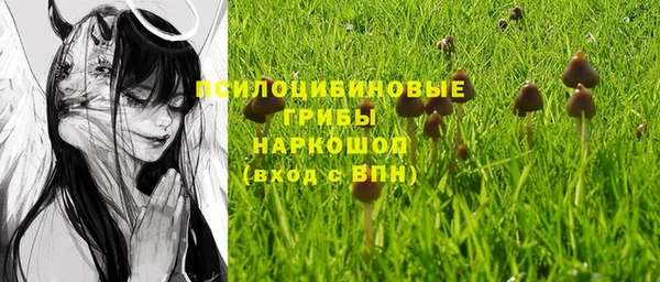 а пвп мука Няндома